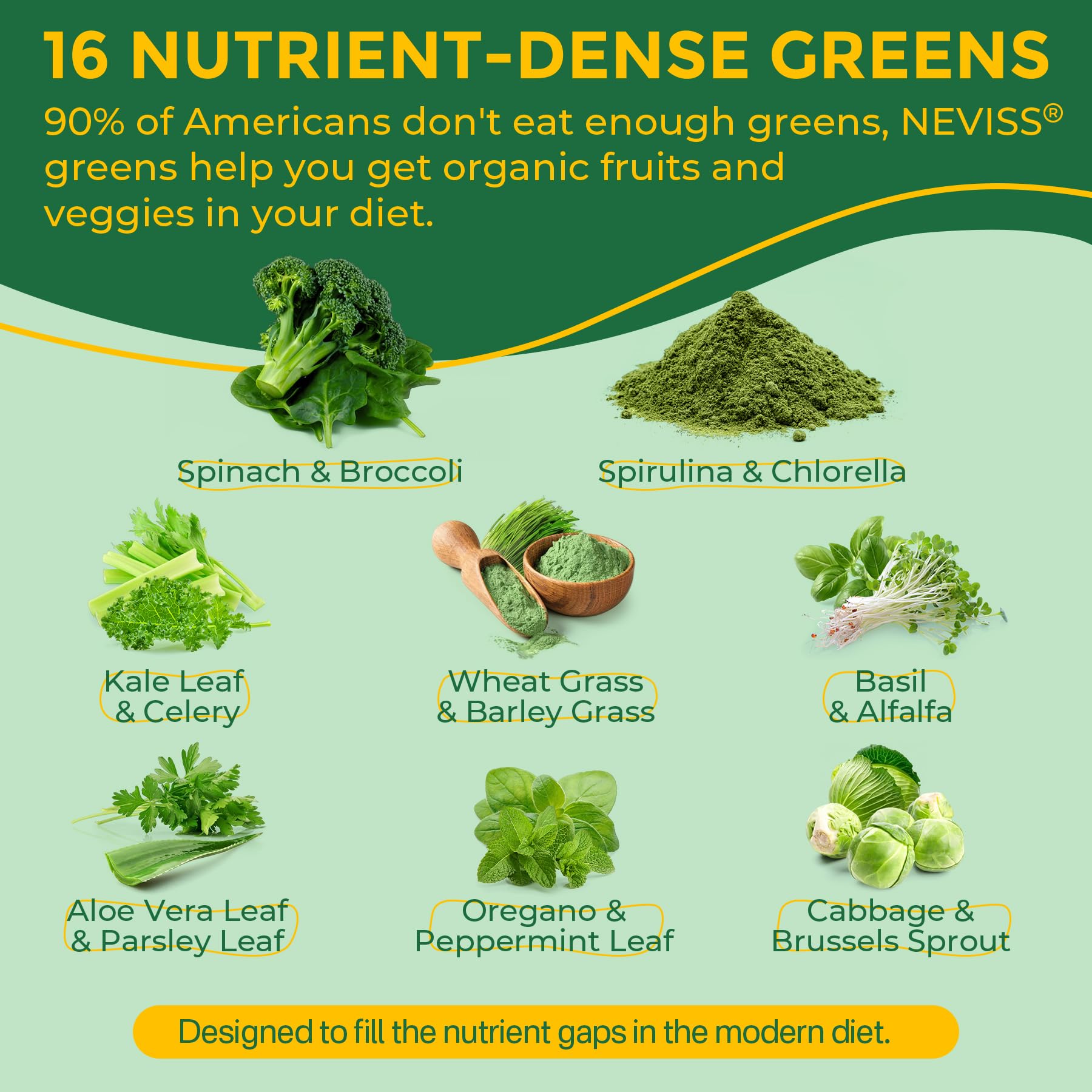 Organic Super Greens Daily Superfood Gummies + Probiotics, Spirulina, Chlorella Spinach Broccoli, Prebiotic Fiber, Mushroom -Rich in Vitamins & Antioxidants - Digestive, Focus, Energy, No Sugar, 60Cts - Image 3