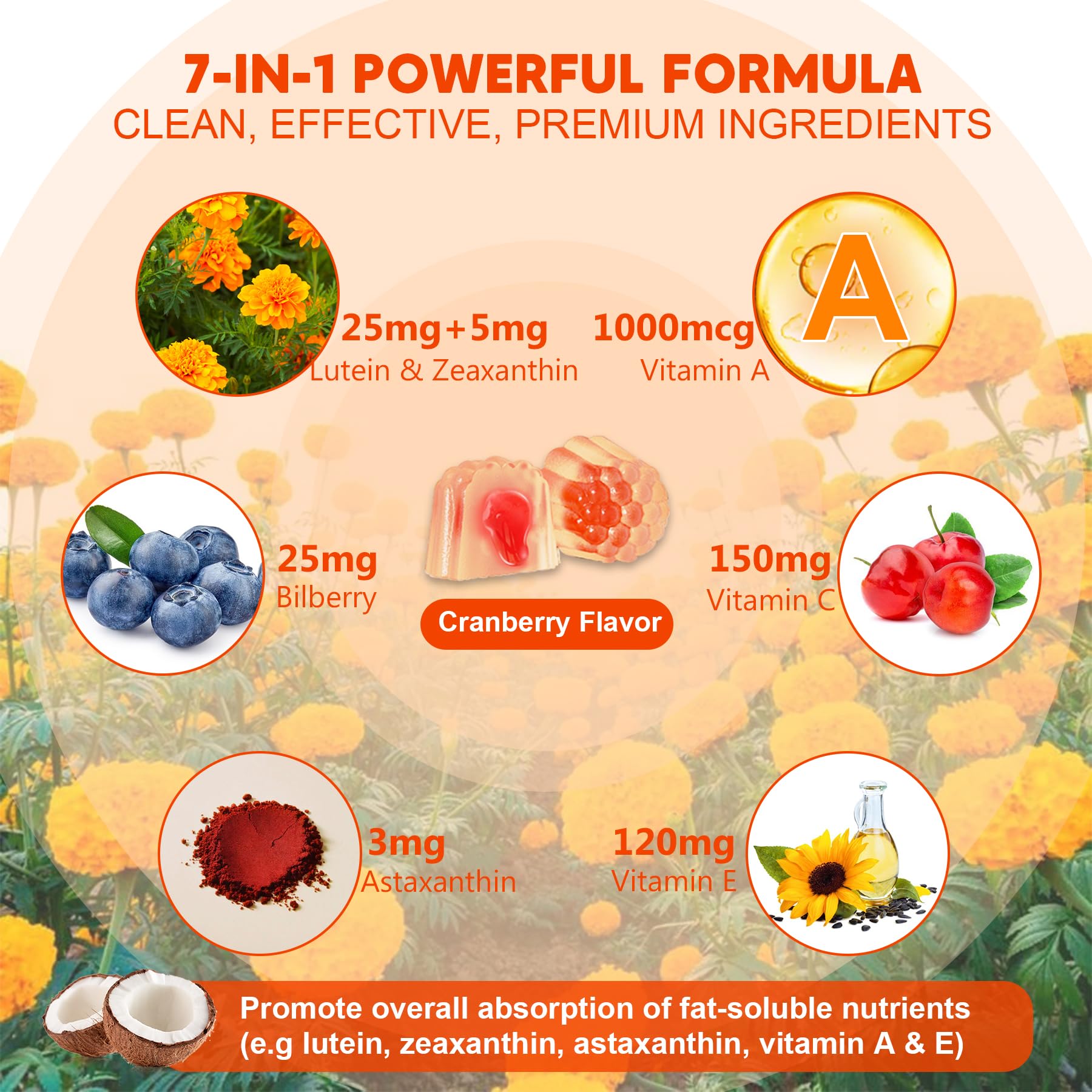 Sugar-Free Lutein Zeaxanthin Supplements Gummies (25mg) Vitamins A, C, E, Bilberry, Astaxanthin - Coconut Oil for Better Absorption - Adults & Teens Vision Health, Eye Strain, Dry Eyes - Vegan, 60Cts - Image 5
